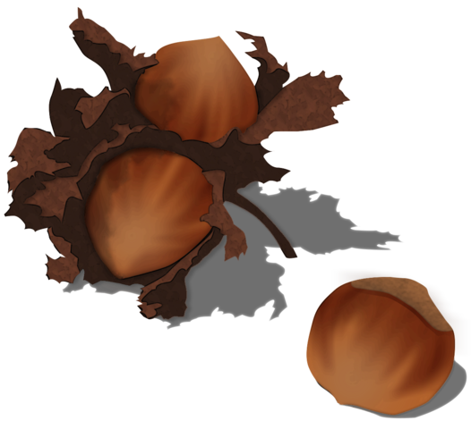 Hazelnut Transparent PNG Image
