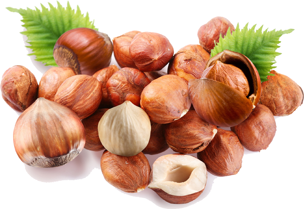 Hazelnut Transparent PNG Image